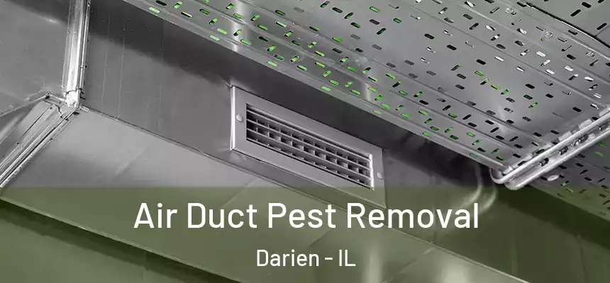 Air Duct Pest Removal Darien - IL