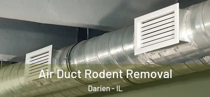 Air Duct Rodent Removal Darien - IL