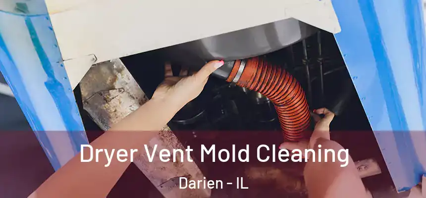  Dryer Vent Mold Cleaning Darien - IL