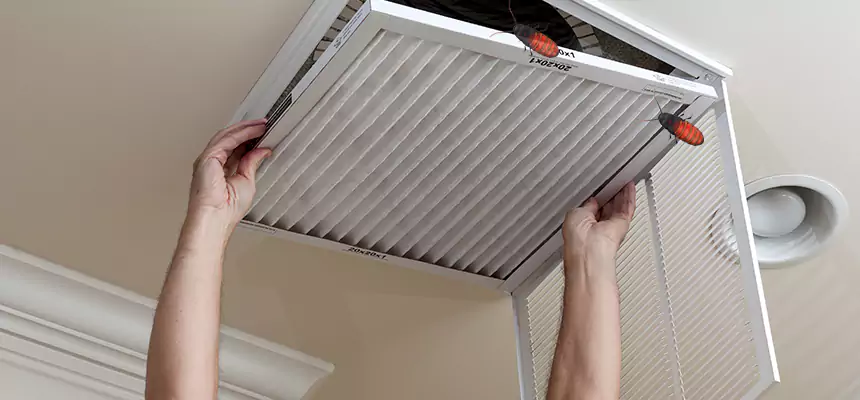 Our Insect Removal from Air Ducts Services in Darien, IL