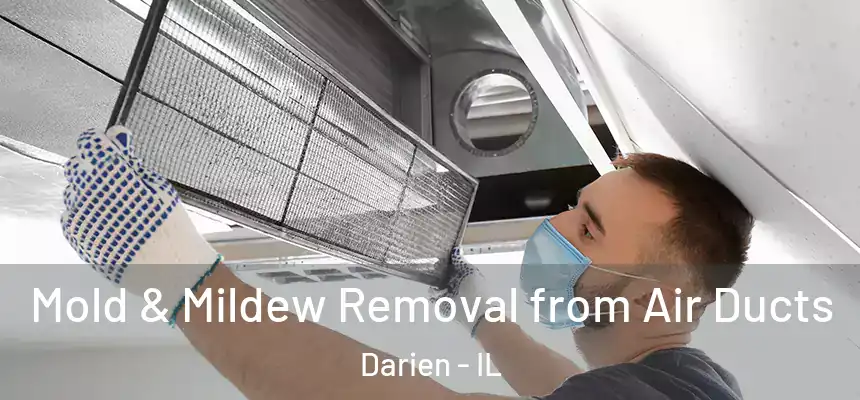 Mold & Mildew Removal from Air Ducts Darien - IL