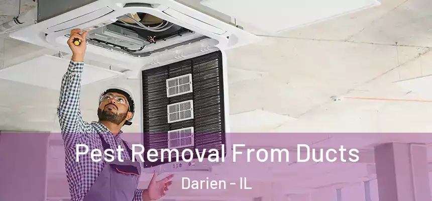 Pest Removal From Ducts Darien - IL