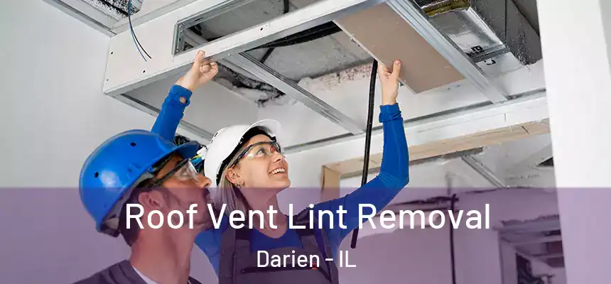 Roof Vent Lint Removal Darien - IL