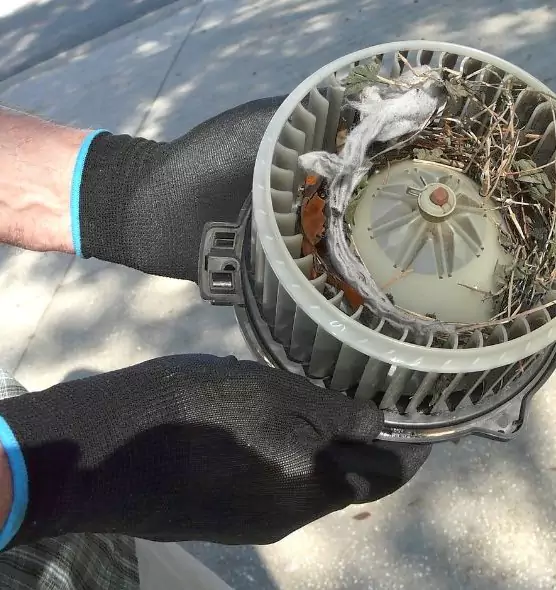 About Air Duct Mice Removal in Darien, IL