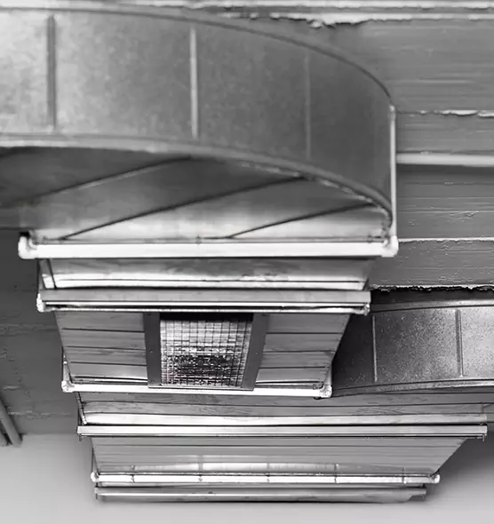 Professional Air Duct Pet Hair Removal in Darien, IL