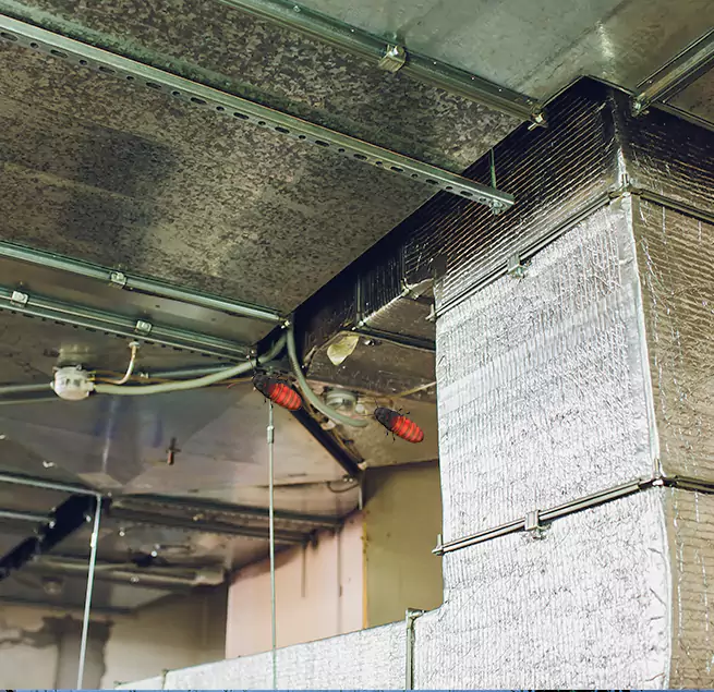 Why Homeowners & Businesses Trust Us in Darien, IL?