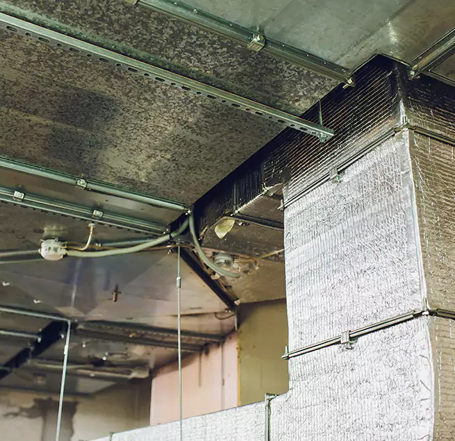 Why Homeowners & Businesses Trust Us in Darien, IL?